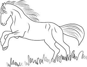 Ausmalbild für springendes Pferd