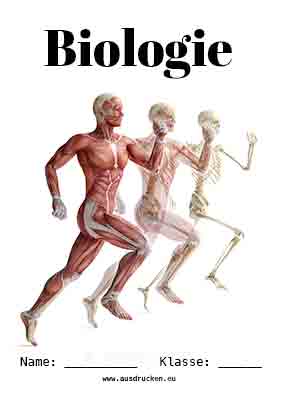 Biologie Deckblatt Körper