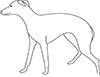 Ausmalbild Greyhound<br> Hund
